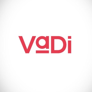VADİ YAYINLARI